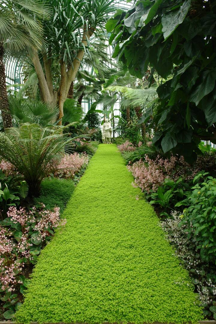 Omaha Lawnscaping Solutions
