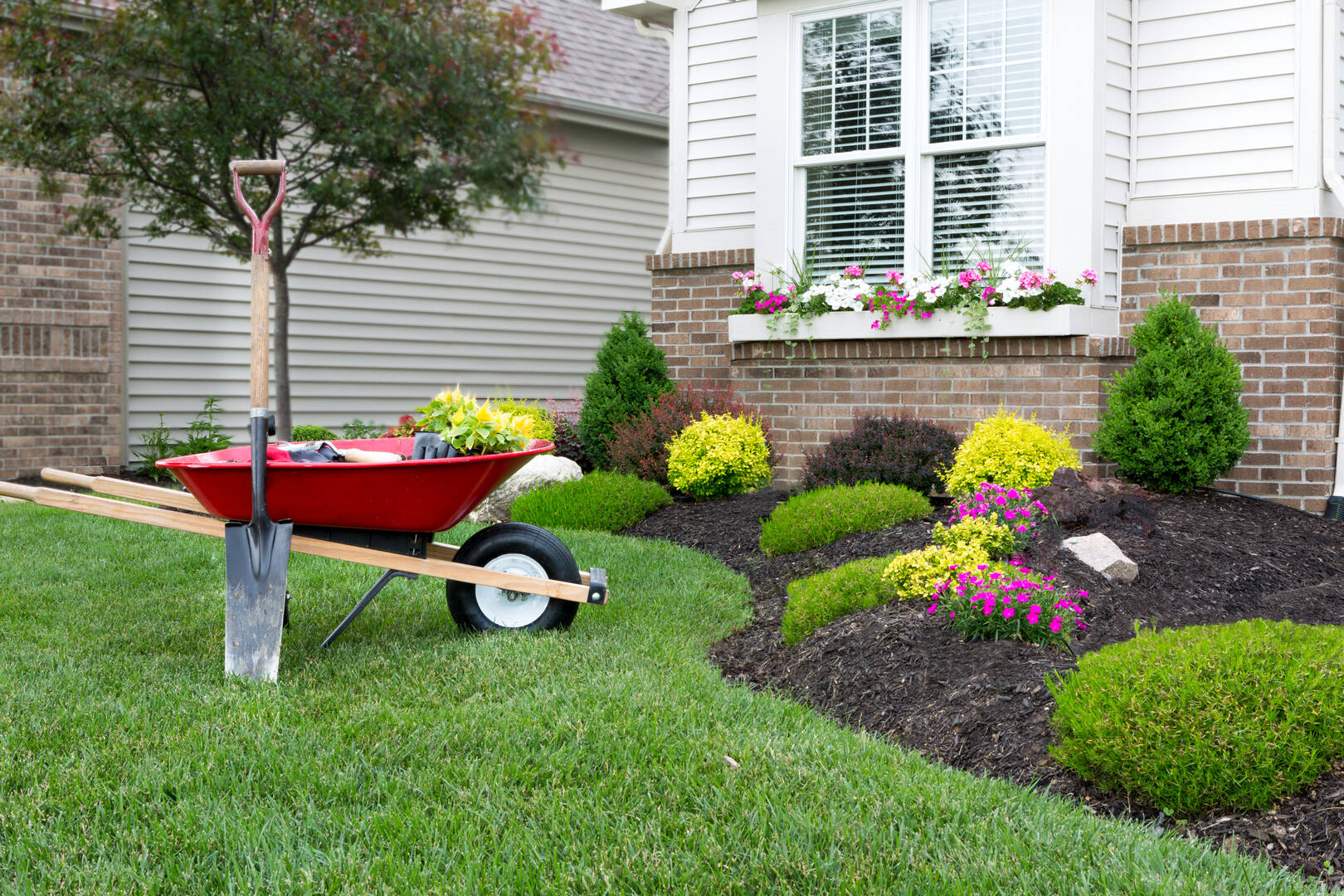 AAA Tree Service