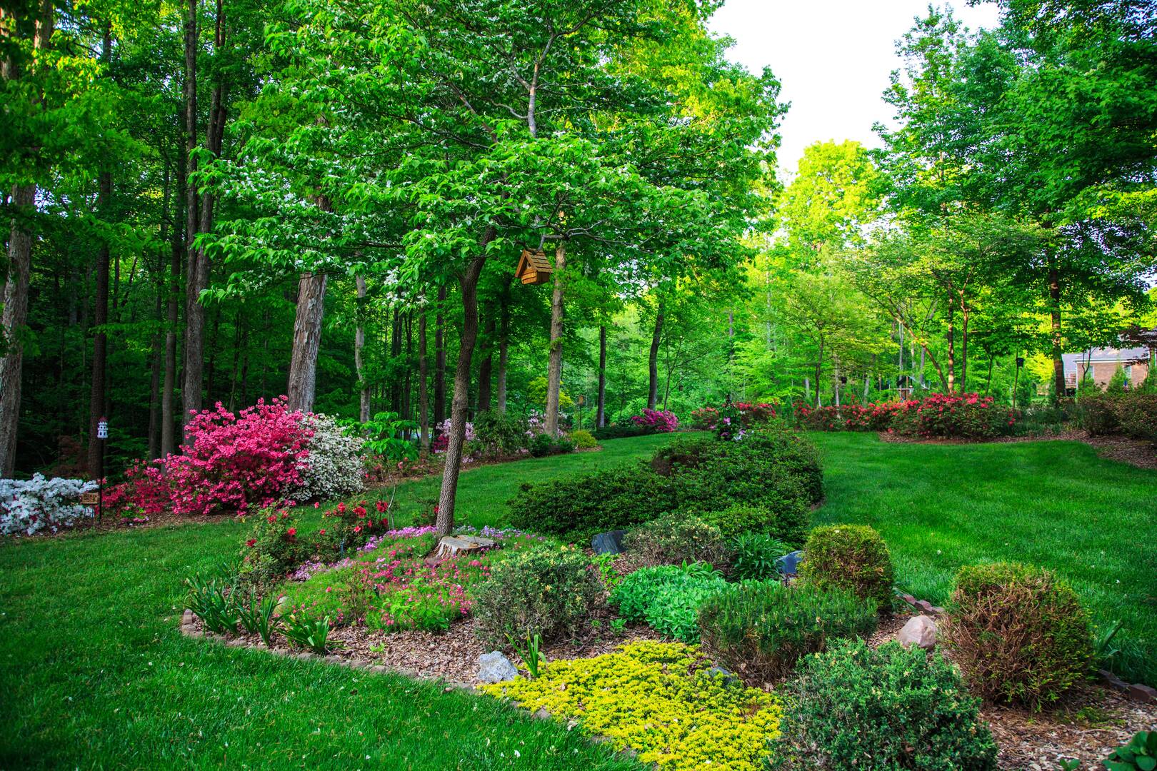 Affordable Tree Service By Mark Hicks