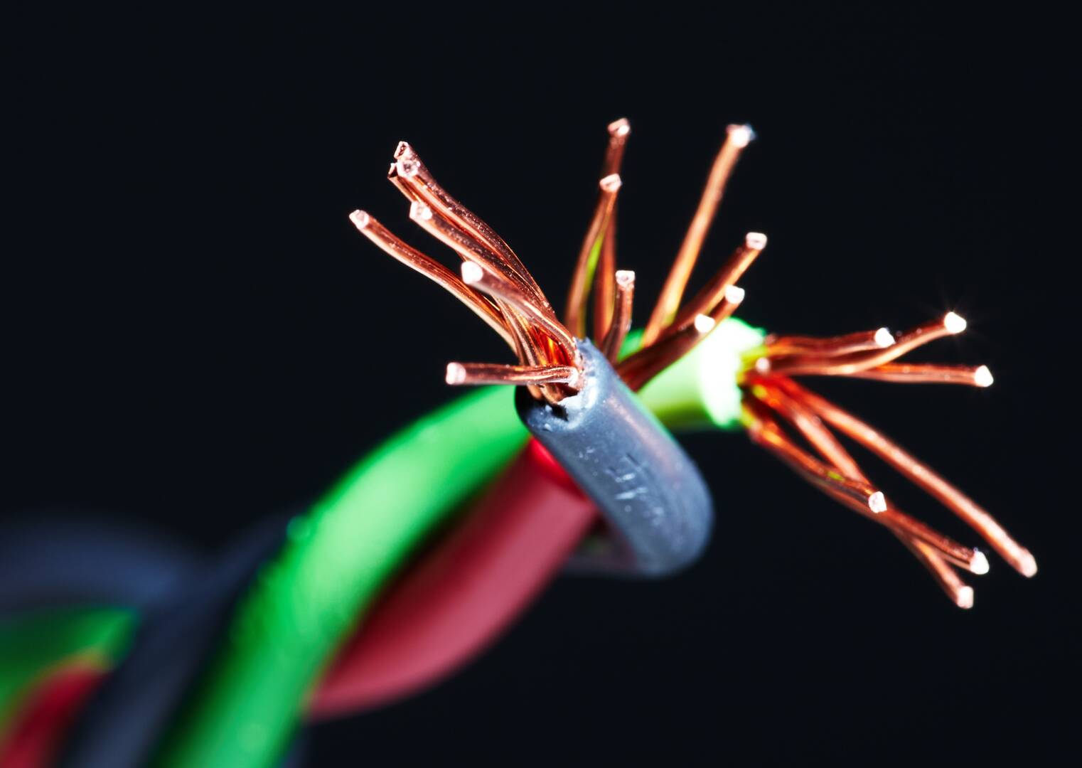 ROBERT D. SAMUELS INC./EXPERT HOME ELECTRIC