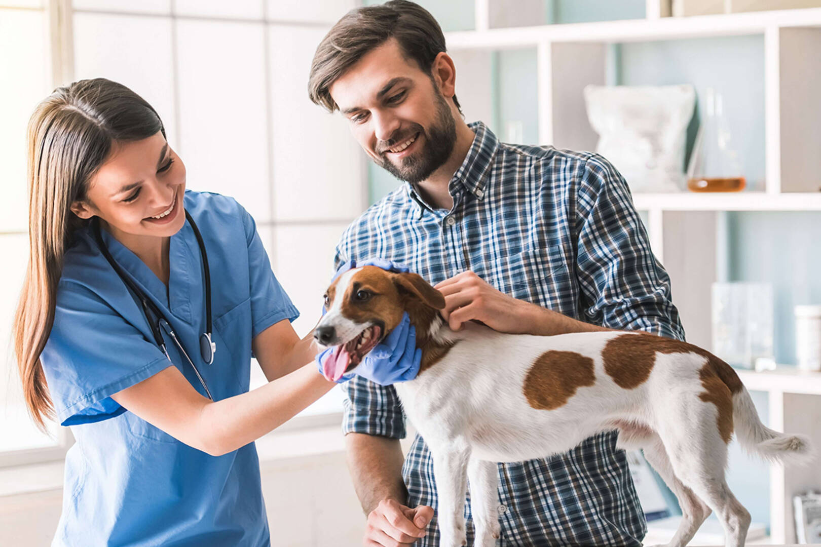 Angel Pet Hospital