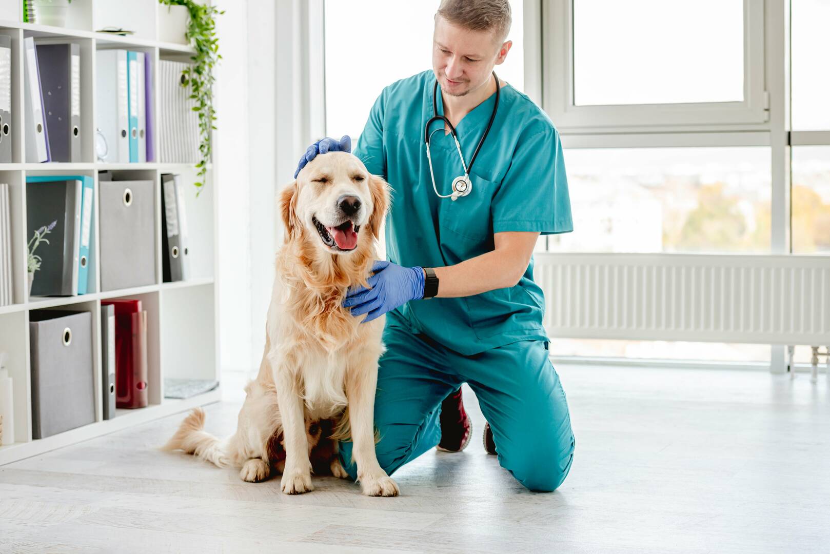 Loop 494 Animal Hospital