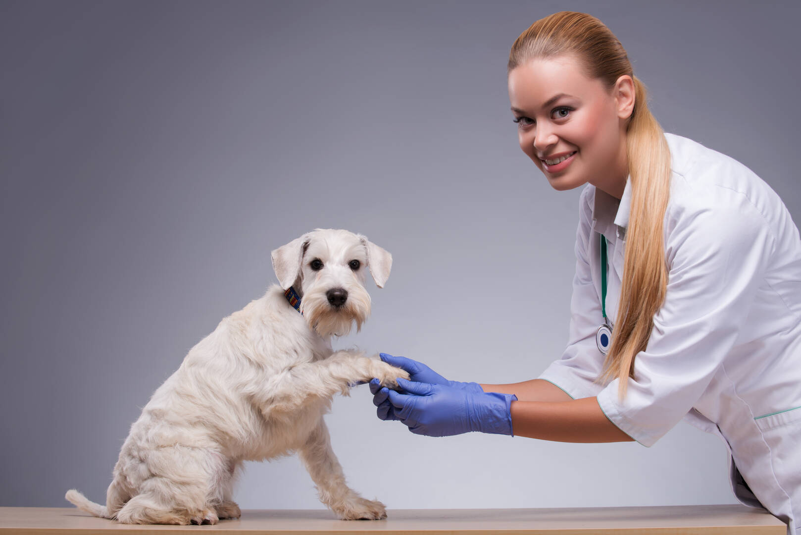 International Veterinary Sciences