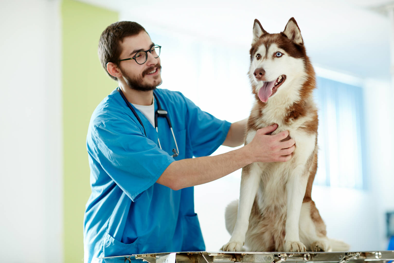 Litchfield Veterinary Hospital