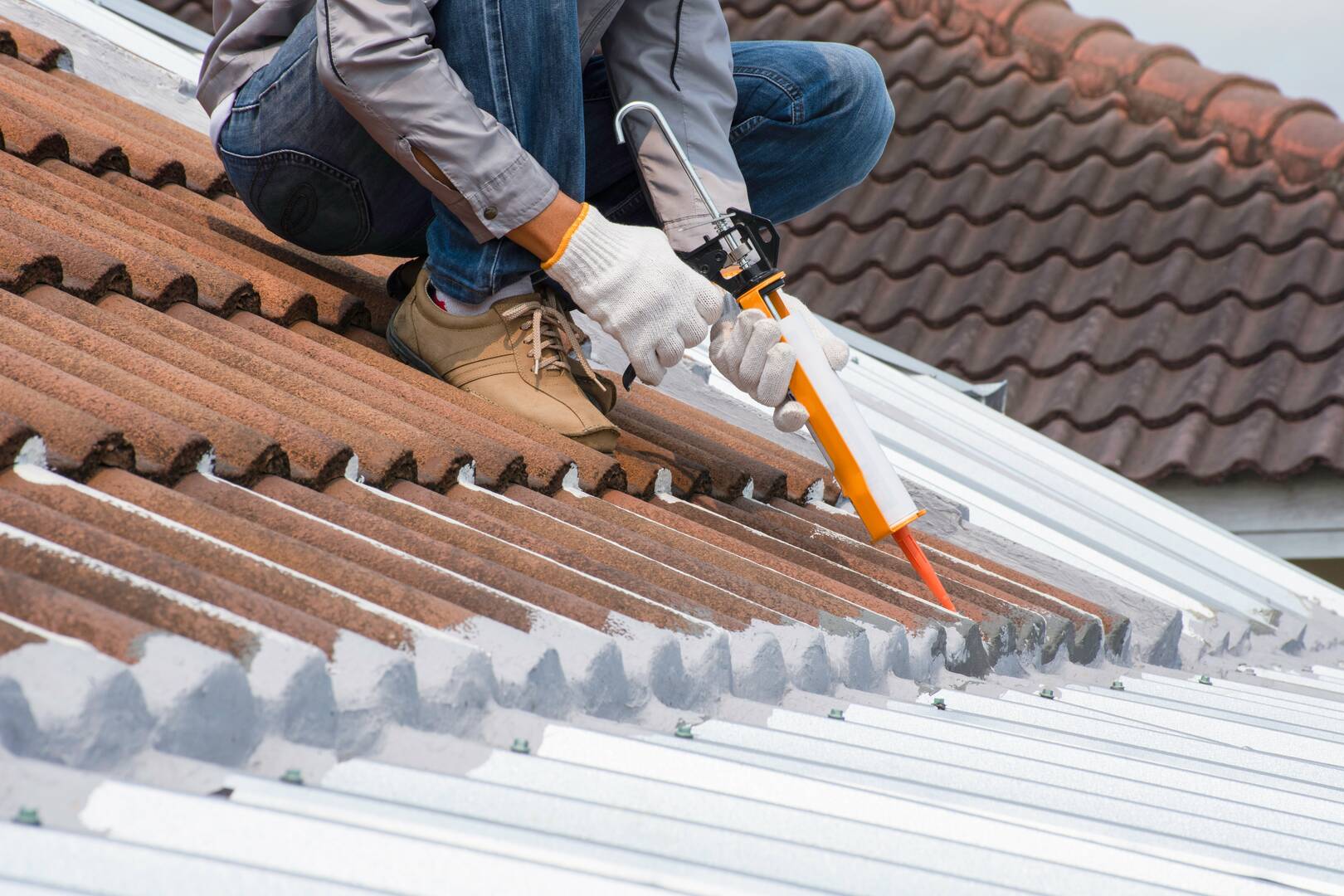 Roof Evolution